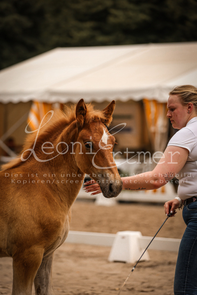 SaHF00016 | Leoni Ertmer Photography - Realisiert mit Pictrs.com