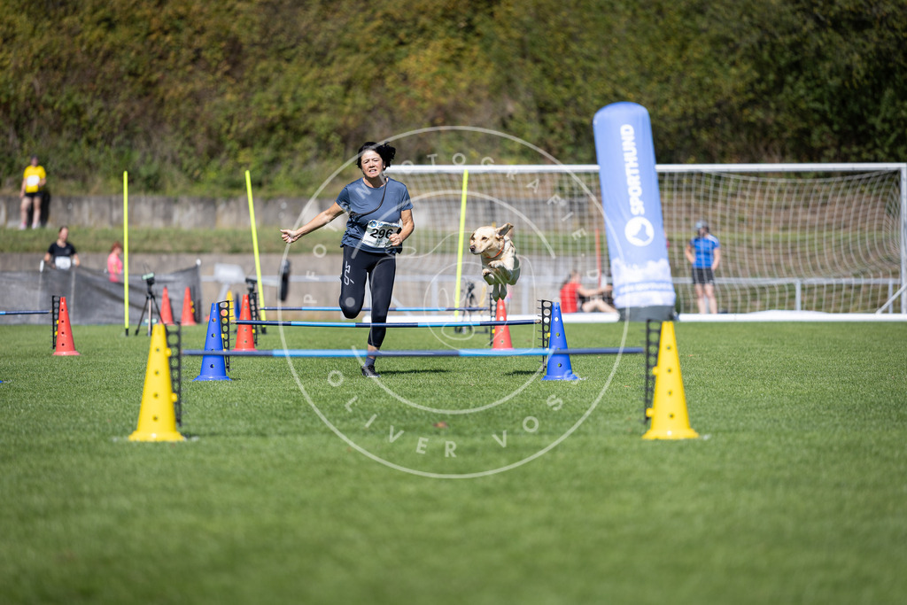 Pfotenfotografie_DV3A7613 | Hundefotografie, Tierfotograf, Pfotenfotografie, Fotoshooting Hund, Hunde Portrait, Hundesport, Hundeportraits, Heideshooting, Hunde, Sportfotograf, Hundefotograf, Turnierhundsport, THS,  - Realisiert mit Pictrs.com