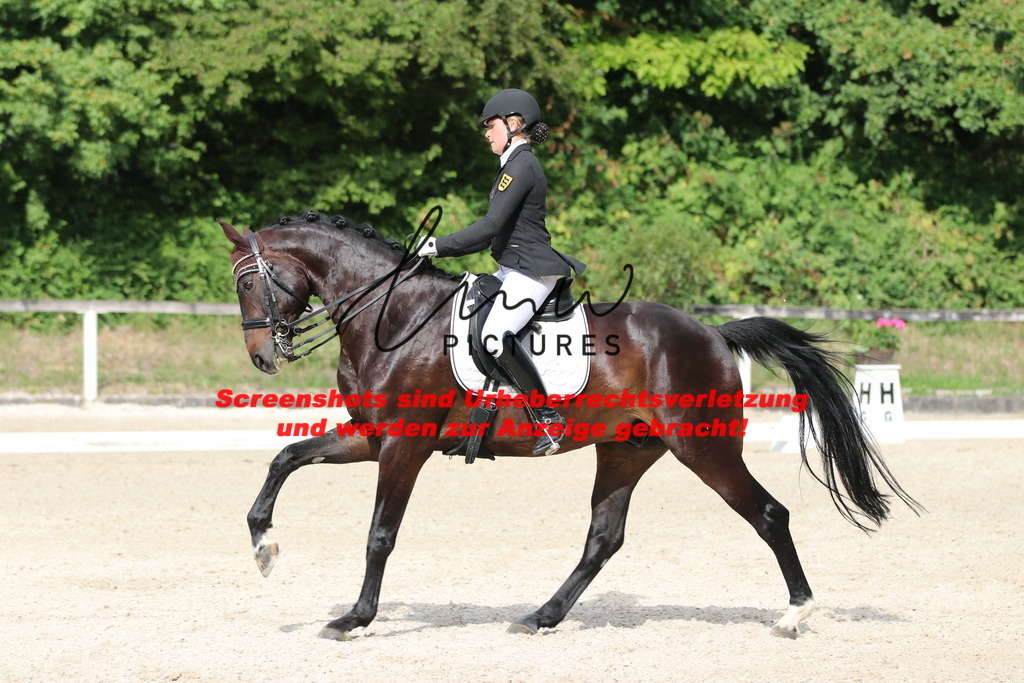 IMG_6660 | lmwpictures - Realisiert mit Pictrs.com