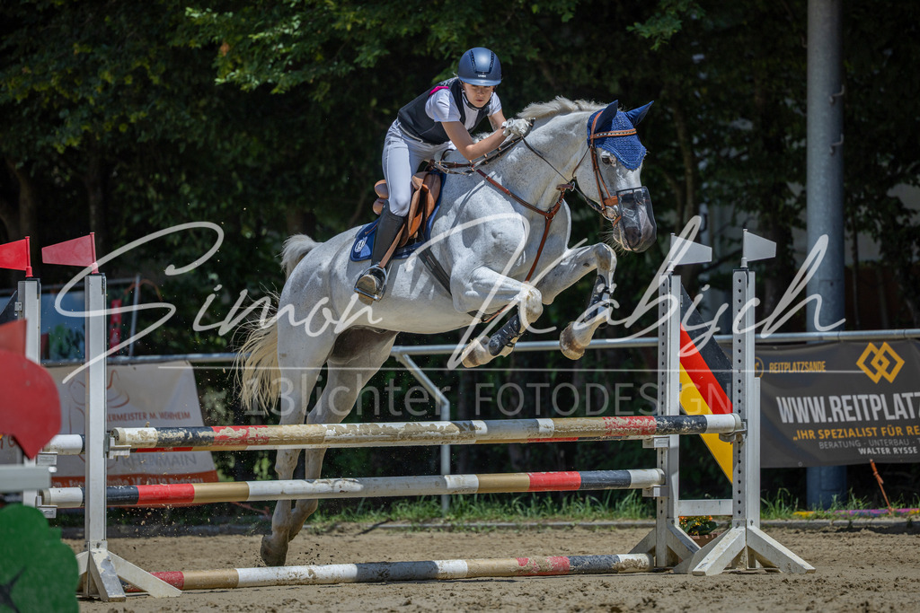 20260704-_3LI8503 | Tierfotografie Pferde, Hunde, Katzen, Haustiere.
Turnierfotografie Reitturniere, Reiten, Springreiten, Dressur in Hanau, dem Main-Kinzig-Kreis und dem Rhein-Main- Gebiet um Frankfurt