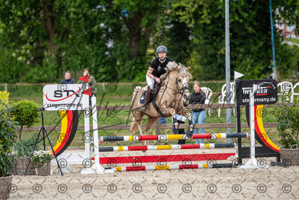 KPT_7379 | andre_photographic