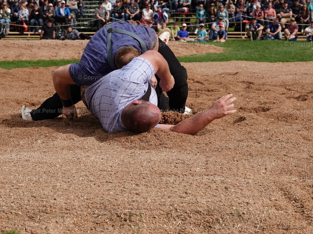DSC07269 | Schwingen - Realisiert mit Pictrs.com