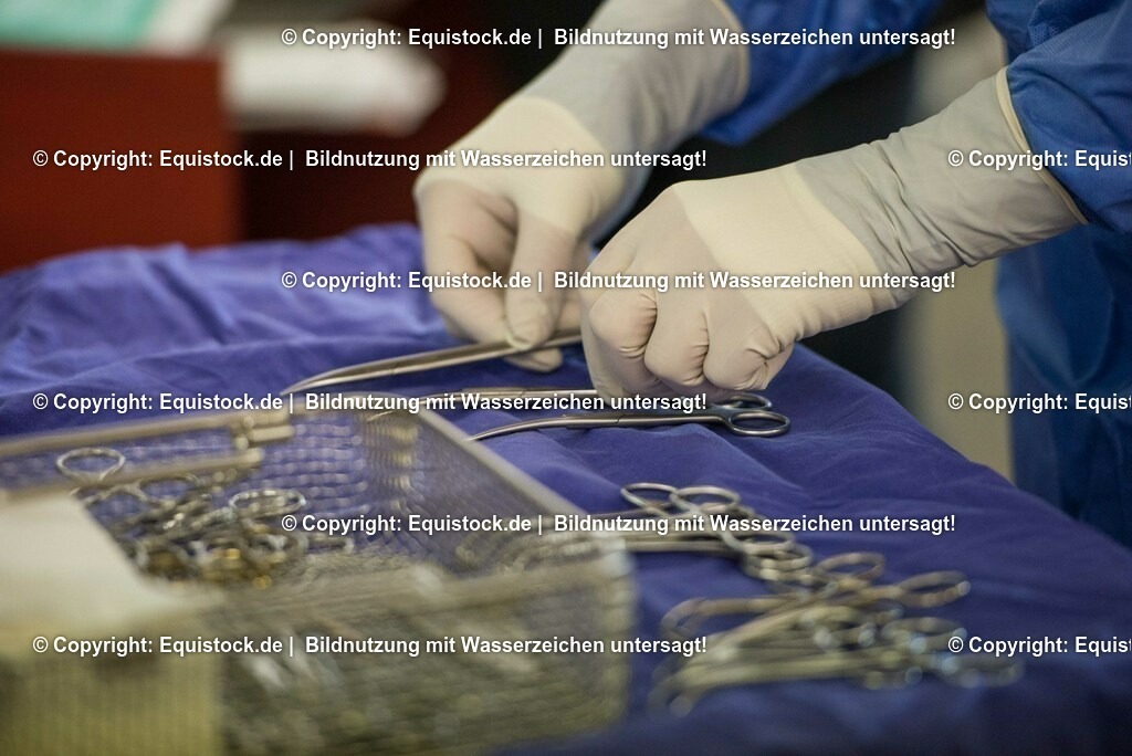 20160309_Sehnenschnitt_OP__0014 | equistock