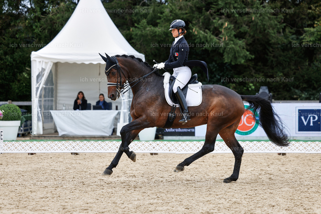 11-110-Dressur S___-StoibPH-1368 | working equitationturnier fotograf videograf stoibphotography marixx film working equitation deutschland reitsport turnierfotografie eventfotografie equestrian events