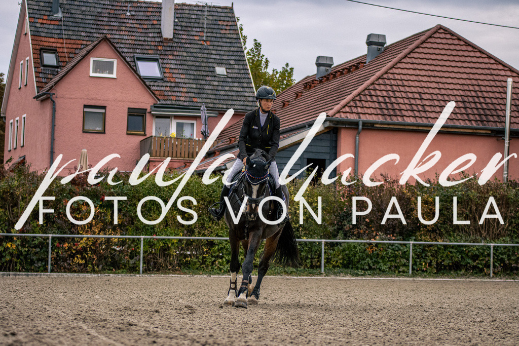 IMG_6228 | Erleben Sie dynamische Sport- und emotionale Tierfotografie in Süddeutschland mit Fotos von Paula. Spezialisiert auf Pferde- und Hundefotografie sowie Sportevents. Kontaktieren Sie mich für einzigartige und ausdrucksstarke Bilder Ihrer besonderen Momente.