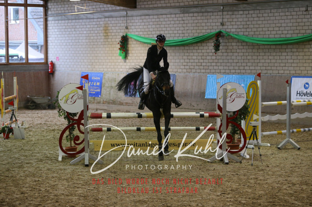 IMG_0889 | Turnierfotos kaufen im Webshop von Daniel Kuhl Photography – entdecke professionelle Reitsportfotos aus Turnieren & Events. Hochwertige Turnierbilder online bestellen & sichern. Jetzt Fotos von Reitsportturnieren kaufen!