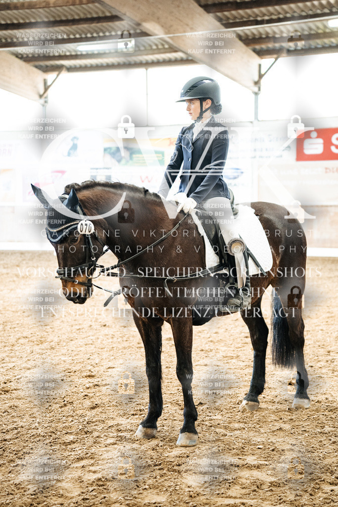 CK703099 | Turnierfotografie Pferdefotografie Trier Rheinland-Pfalz Pferdesport Reitsport Tierfotografie Sportfotografie Pferdevideo Pferdevideografie Equestrianvideography equestrianphotography  - Realisiert mit Pictrs.com