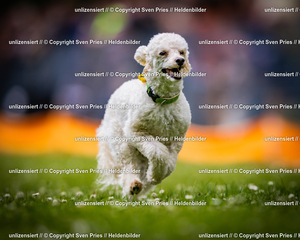 Sven Pries | 2025-05-29 - Pudelrennen KA-Durlach - Realisiert mit Pictrs.com