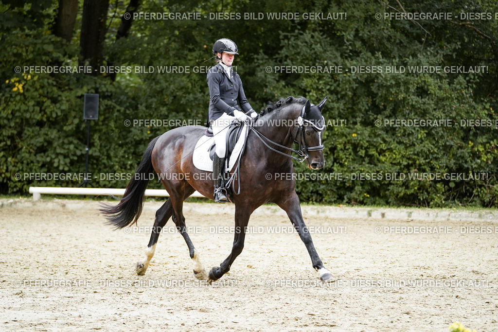 DSC01245 | Pferdegrafie