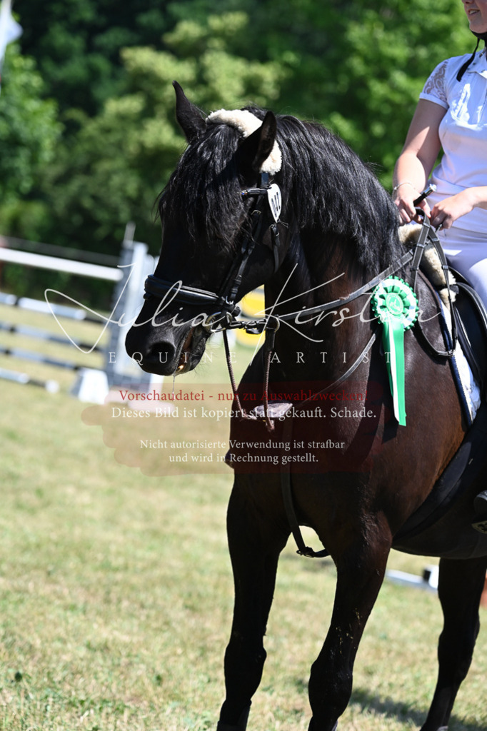 DSC_0894 | Pferde- und Turnierfotografie in Westsachsen. Pferdeportraits, Auftragszeichnungen und intuitive Kunst.