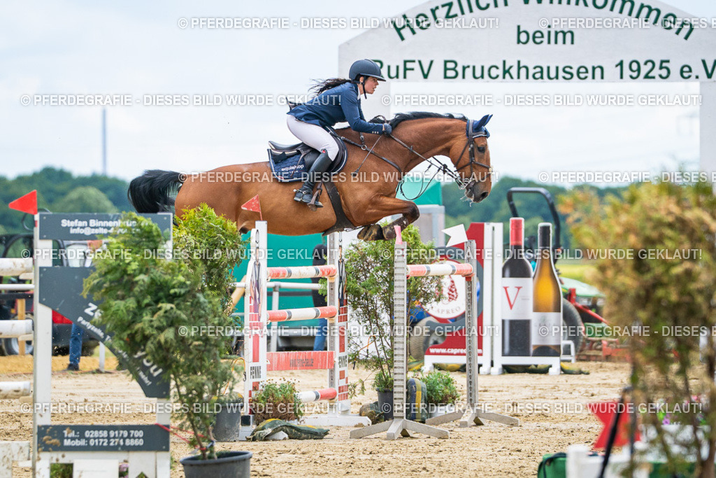 DSC06037 | Pferdegrafie