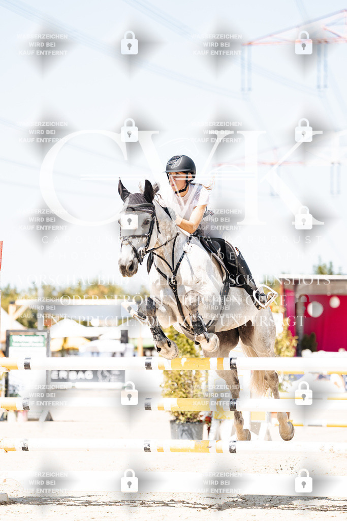 CK909586 | Turnierfotografie Pferdefotografie Trier Rheinland-Pfalz Pferdesport Reitsport Tierfotografie Sportfotografie Pferdevideo Pferdevideografie Equestrianvideography equestrianphotography  - Realisiert mit Pictrs.com
