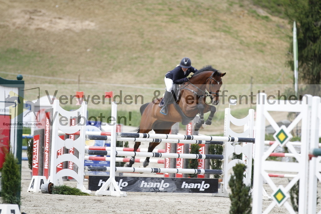 _MG_4227 | equestrian-live-com