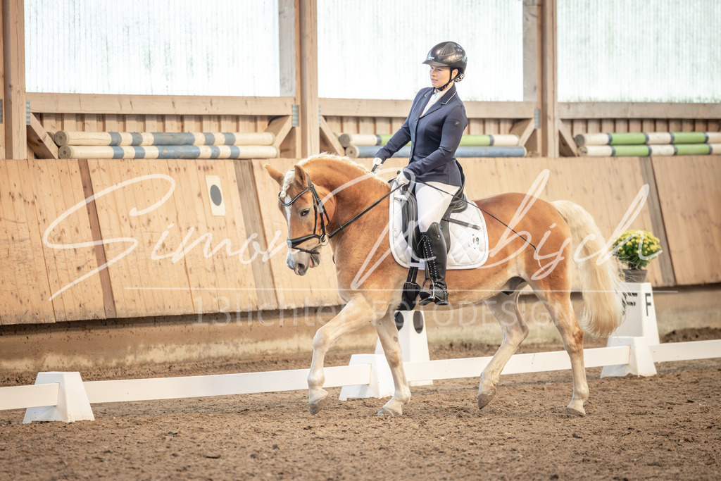 20251011-_3LI6570 | Tierfotografie Pferde, Hunde, Katzen, Haustiere.
Turnierfotografie Reitturniere, Reiten, Springreiten, Dressur in Hanau, dem Main-Kinzig-Kreis und dem Rhein-Main- Gebiet um Frankfurt