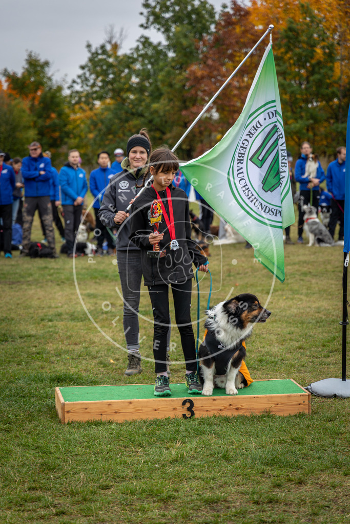 Pfotenfotografie_0L8A0497 | Hundefotografie, Tierfotograf, Pfotenfotografie, Fotoshooting Hund, Hunde Portrait, Hundesport, Hundeportraits, Heideshooting, Hunde, Sportfotograf, Hundefotograf, Turnierhundsport, THS,  - Realisiert mit Pictrs.com
