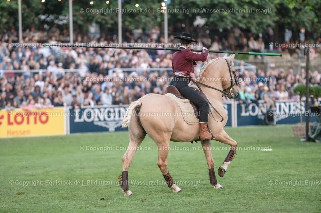 20230526_Pferdenacht_0679 | equistock