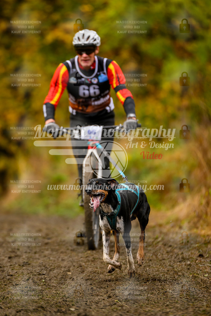 MompixPhotography_ICF_WC_2024_SA_DS_-153 | PayLife