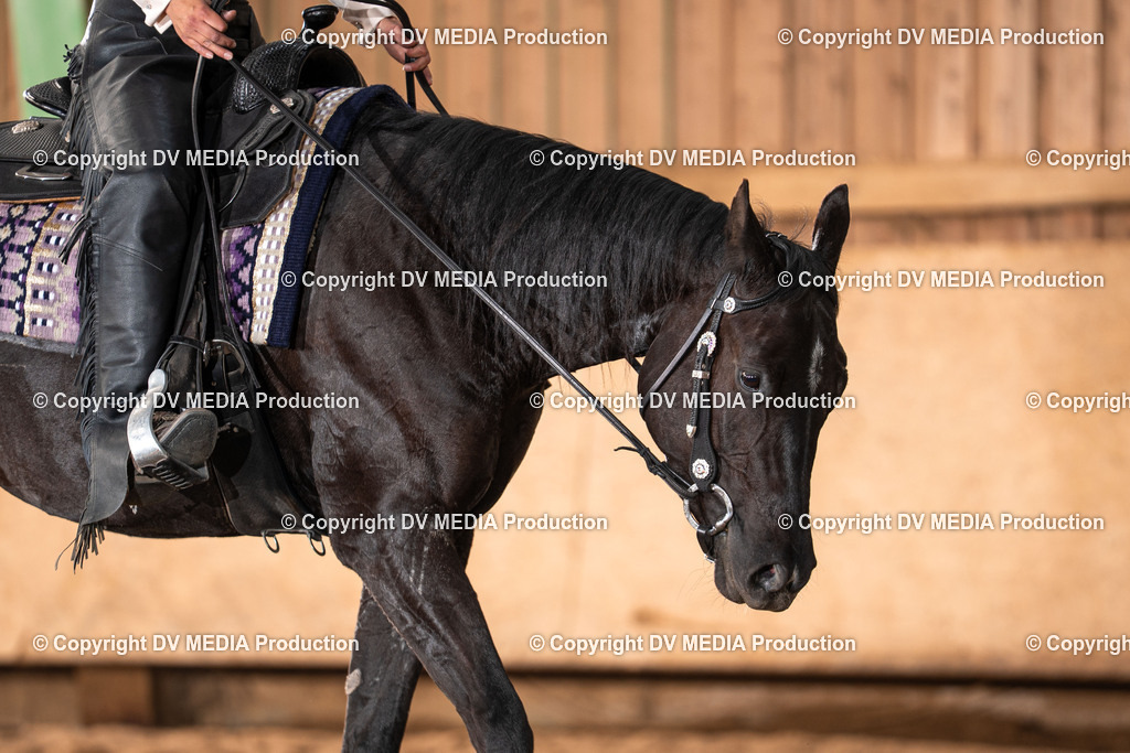 Balingen Tag 1-1944 | dv-media-shop - Realisiert mit Pictrs.com