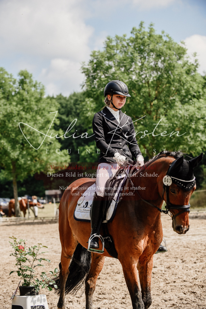 DSC_0926 | Pferde- und Turnierfotografie in Westsachsen. Pferdeportraits, Auftragszeichnungen und intuitive Kunst.