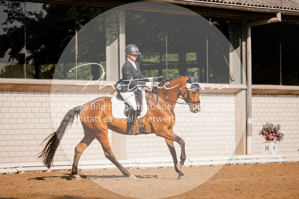 3I6A8660 | Stimmungsvolle Portraits und Reitsportfotografie im Ruhrgebiet und im Münsterland.

Pferdefotografie, Hundefotografie, Tierfotografie, Reportagen, Portraits von Tier und Mensch, Turnierfotografie in Bochum, Recklinghausen, Marl, Haltern am See, Dülmen.. - Realisiert mit Pictrs.com