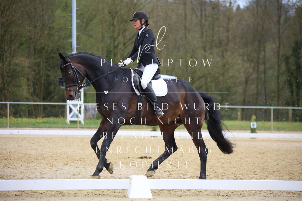 IMGT7123 | pl-fotografie