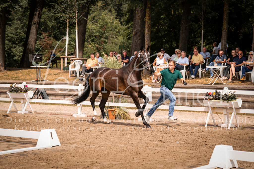 2. Fr00084 | Leoni Ertmer Photography - Realisiert mit Pictrs.com