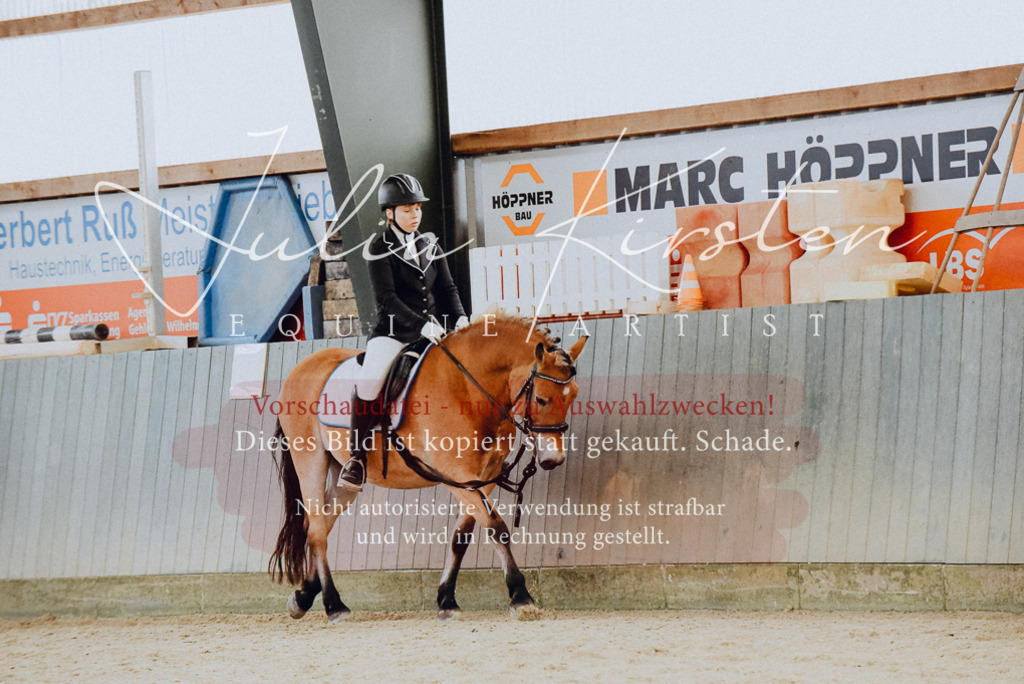 DSC_7288 | Pferde- und Turnierfotografie in Westsachsen. Pferdeportraits, Auftragszeichnungen und intuitive Kunst.