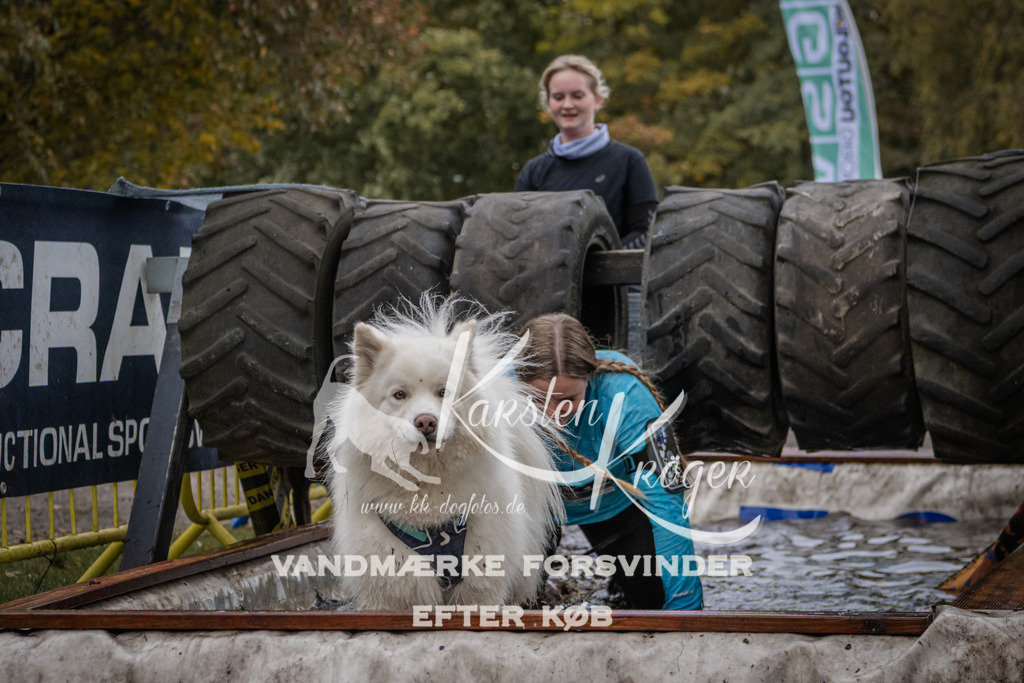 1620_ZZ93073 | kk-dogfotos