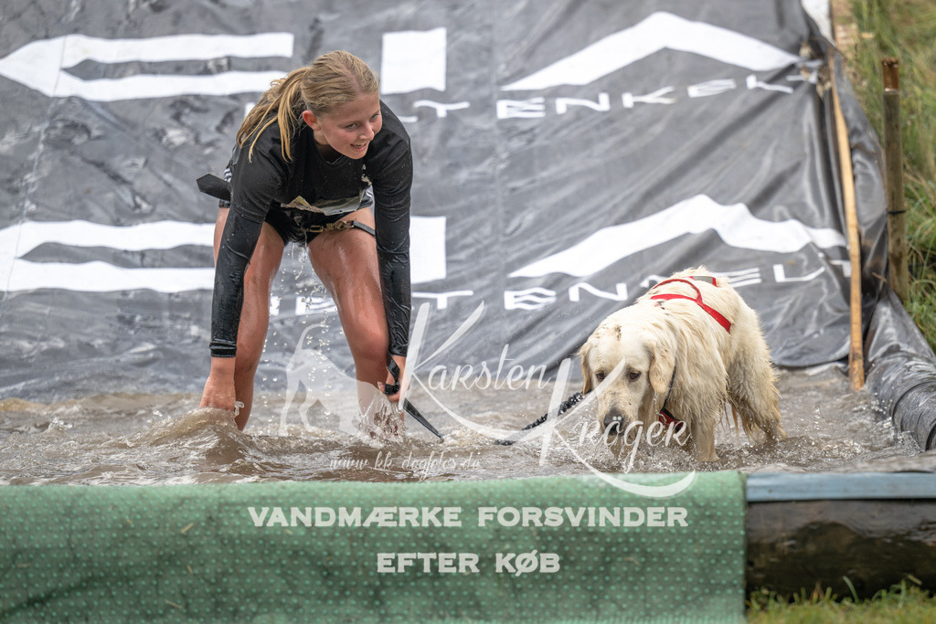 1528_ZZ93682 | kk-dogfotos