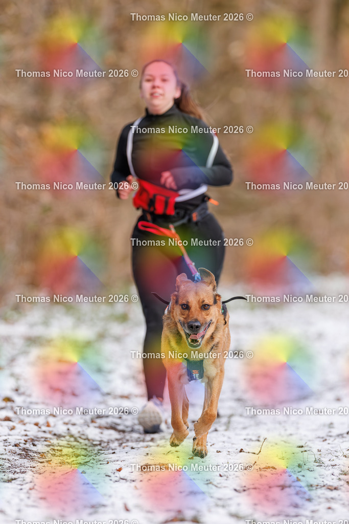 Thomas_Nico_Meuter(C)_223A8543 | Bild von Thomas Nico Meuter - Realisiert mit Pictrs.com