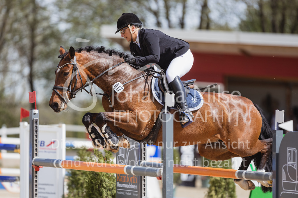 230501_SpengeW_M2St-127 | Deine schönsten Turniermomente als professionelle Fotos! Entdecke hochwertige Pferdesport-Fotografie im Online-Shop. Jetzt Fotos finden & bestellen!