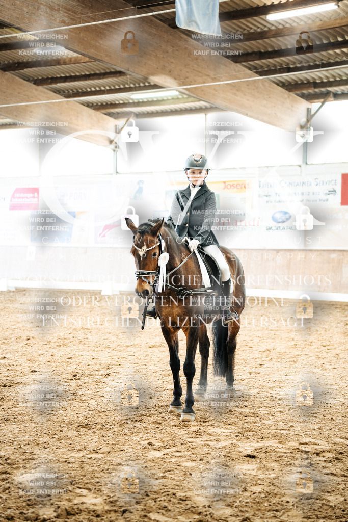 CK703084 | Turnierfotografie Pferdefotografie Trier Rheinland-Pfalz Pferdesport Reitsport Tierfotografie Sportfotografie Pferdevideo Pferdevideografie Equestrianvideography equestrianphotography  - Realisiert mit Pictrs.com