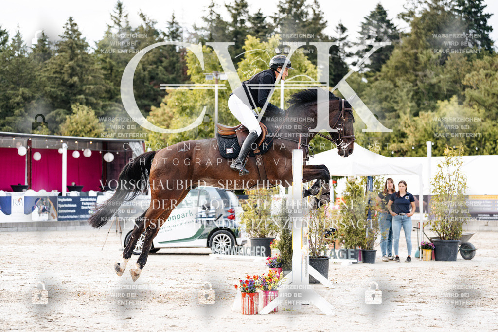 CK903749 | Turnierfotografie Pferdefotografie Trier Rheinland-Pfalz Pferdesport Reitsport Tierfotografie Sportfotografie Pferdevideo Pferdevideografie Equestrianvideography equestrianphotography  - Realisiert mit Pictrs.com