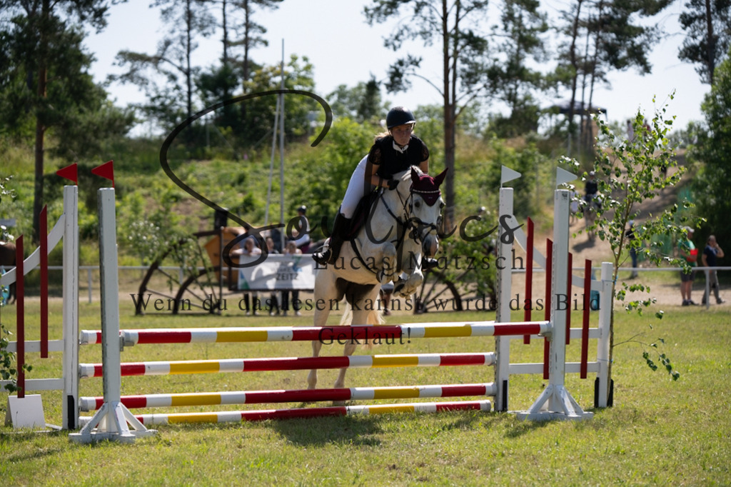 A7V05589 | Pferdefotograf