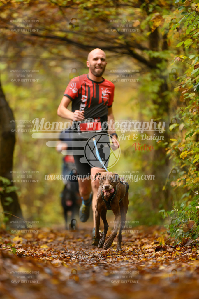 MompixPhotography_CD7S_DI_CCL-60 | mompixphotography