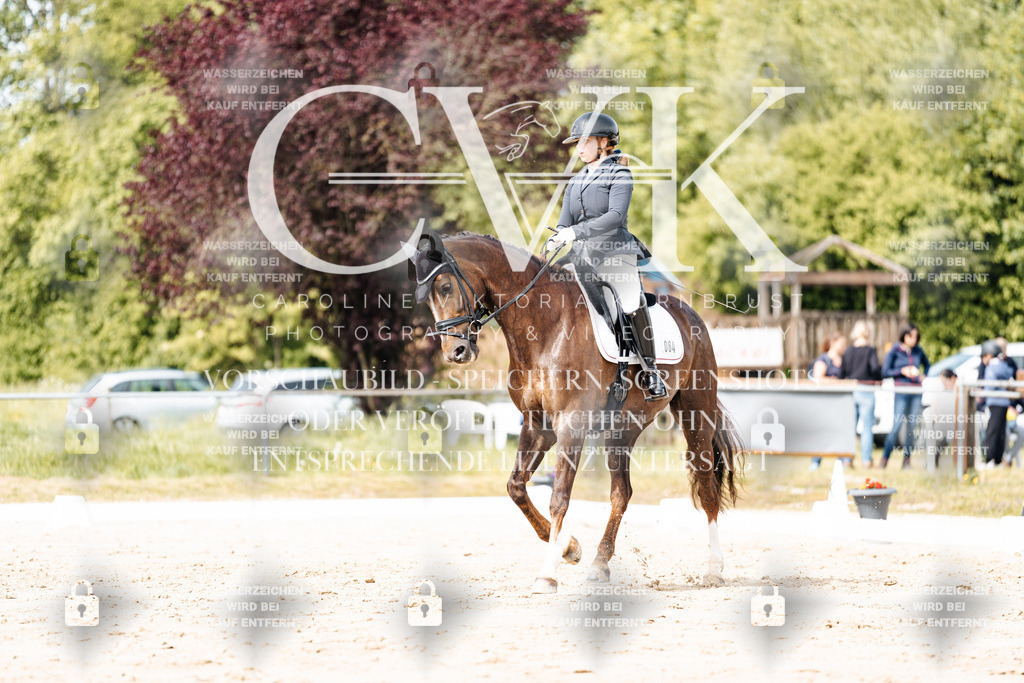 CK901328 | Turnierfotografie Pferdefotografie Trier Rheinland-Pfalz Pferdesport Reitsport Tierfotografie Sportfotografie Pferdevideo Pferdevideografie Equestrianvideography equestrianphotography  - Realisiert mit Pictrs.com