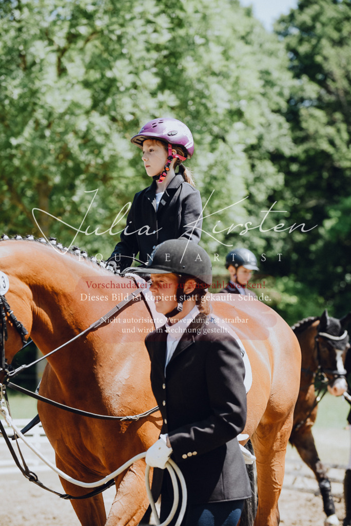 DSC_2115 | Pferde- und Turnierfotografie in Westsachsen. Pferdeportraits, Auftragszeichnungen und intuitive Kunst.