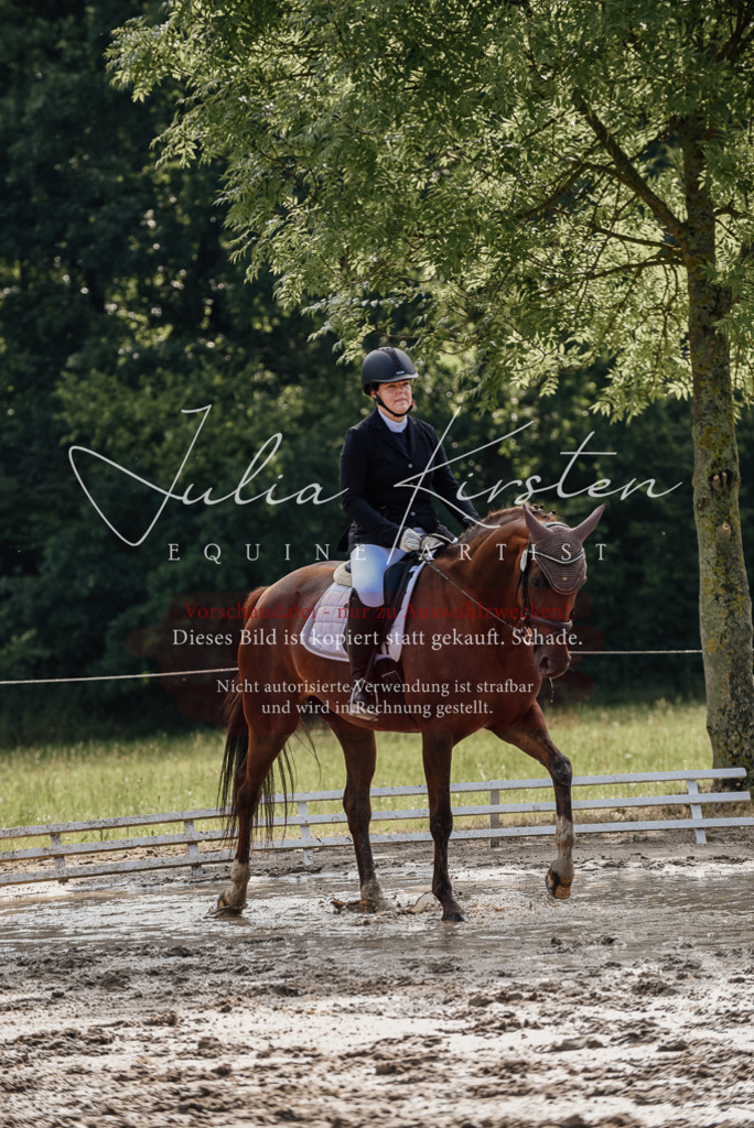 DSC_9219 | Pferde- und Turnierfotografie in Westsachsen. Pferdeportraits, Auftragszeichnungen und intuitive Kunst.