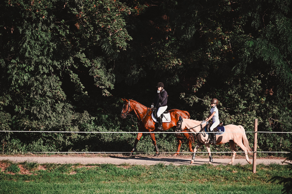 DSC_0210 | Pferde- und Turnierfotografie in Westsachsen. Pferdeportraits, Auftragszeichnungen und intuitive Kunst.