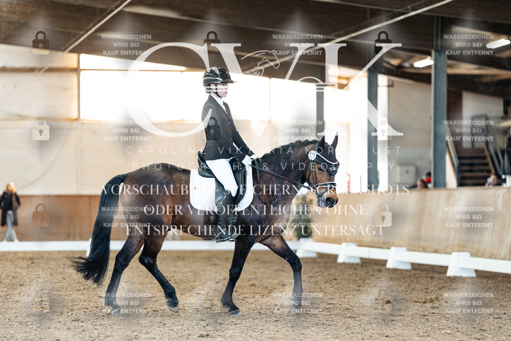 CK908069 | Turnierfotografie Pferdefotografie Trier Rheinland-Pfalz Pferdesport Reitsport Tierfotografie Sportfotografie Pferdevideo Pferdevideografie Equestrianvideography equestrianphotography  - Realisiert mit Pictrs.com