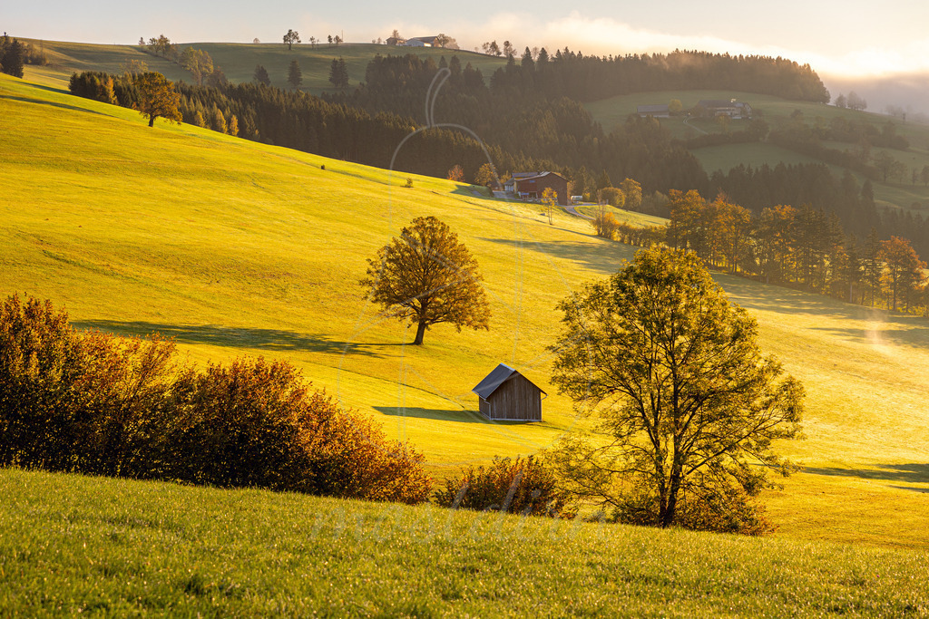 Herbstsonne Franzenreith Randegg | Ihre Fotografin im Lungau, ihre Fotografin im Mostviertel, Wandbilder Onlineshop, Imagefotos für Ihr Unternehmen,  - Realisiert mit Pictrs.com