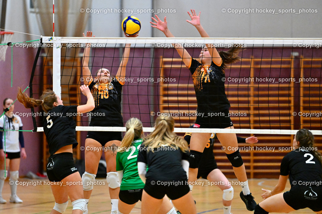 ASKÖ Volley Eagles Villach vs. VC Hausmannstätten | #5 RAUCH Julia VC Hausmannstätten, #22 SAUER Sarah VC Hausmannstätten, #10 СЕНІС Еlwira ASKÖ Volley Eagles Villach, #11 Ilvie HOFER ASKÖ Volley Eagles Villach, #2 WAILLAND Katharina VC Hausmannstätten, ASKÖ Volley Eagles Villach vs. VC Hausmannstätten, ASKÖ Volley Eagles Villach vs. VC Hausmannstätten am 01.02.2025 in Villach (Ballspielhalle Lind), Austria, (Photo by Bernd Stefan)