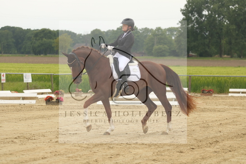 IMG_6690 | jessicahollubetz_pferdephotographie - Realisiert mit Pictrs.com