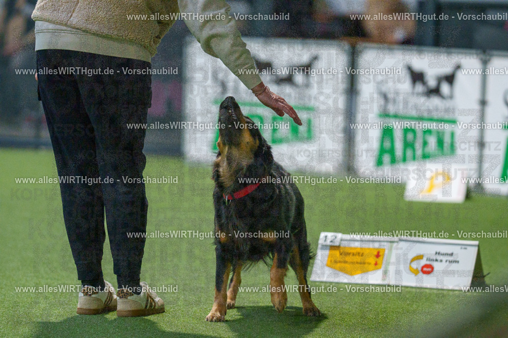 7R505432 | Professionelle Tierfotografie in Mönchengladbach von Daniel Wirth (allesWIRTHgut). Liebevolle & natürliche Bilder von Hunden & Katzen für unvergessliche Erinnerungen.