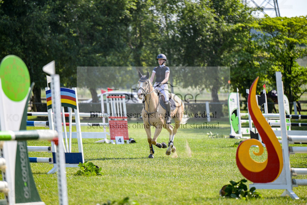 Reitturnier Voxtrup | Entdecke hochwertige Reitturnierfotos von Foto Oger. Professionell, emotional und authentisch – jetzt Lieblingsmomente im Shop bestellen.Deutschlandweite Turnierfotografie. - Realisiert mit Pictrs.com