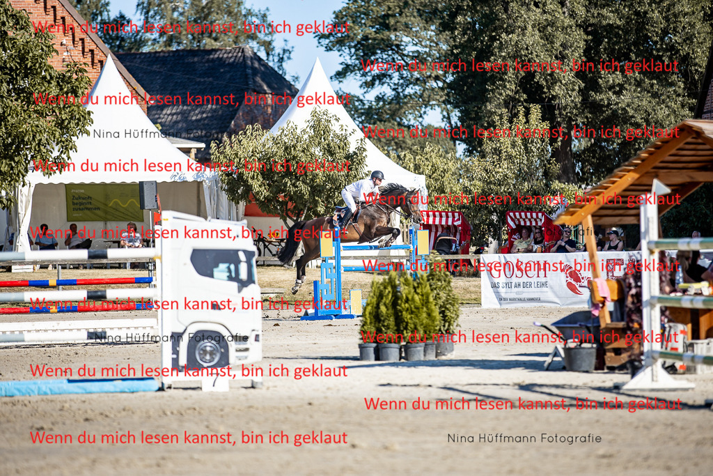 BK1A8150 | Turnierbilder Turnierfotos Nina Hüffmann Turnierfotografie Pferdefotografie Tierzeichnung Haustierzeichnung Pferdezeichnung Hundezeichnung Videograf  - Realisiert mit Pictrs.com