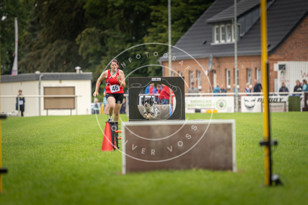 Pfotenfotografie_DV3A5899 | Hundefotografie, Tierfotograf, Pfotenfotografie, Fotoshooting Hund, Hunde Portrait, Hundesport, Hundeportraits, Heideshooting, Hunde, Sportfotograf, Hundefotograf, Turnierhundsport, THS,  - Realisiert mit Pictrs.com