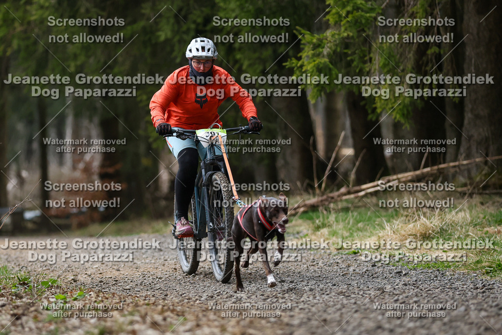 Dog Paparazzi - VCC26-562 | Dog Paparazzi Jeanette Grottendiek Fotografie & Videografie - Realisiert mit Pictrs.com