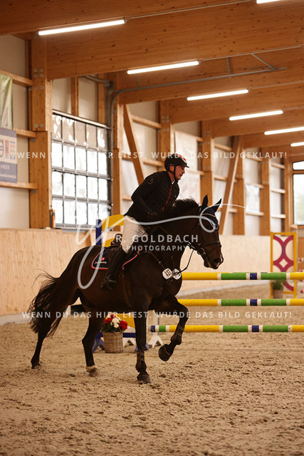 1J2A4296Paul Wiktor_ Quinto 109_ Kn437_ Hohen Wieschendorf_ Glantz | Foto- und Videografie für alles rund ums Pferd. Hochwertige Bilder und Videos vom Spring- und Dressurreiten, Voltigieren & mehr. Jetzt aktuelle Veranstaltungen und Preise im Shop ansehen. - Realisiert mit Pictrs.com