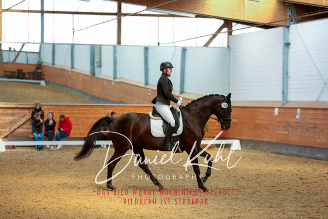 _62_7094 | Turniersportfotografie; Pferdefotografie; Dressurfotografie